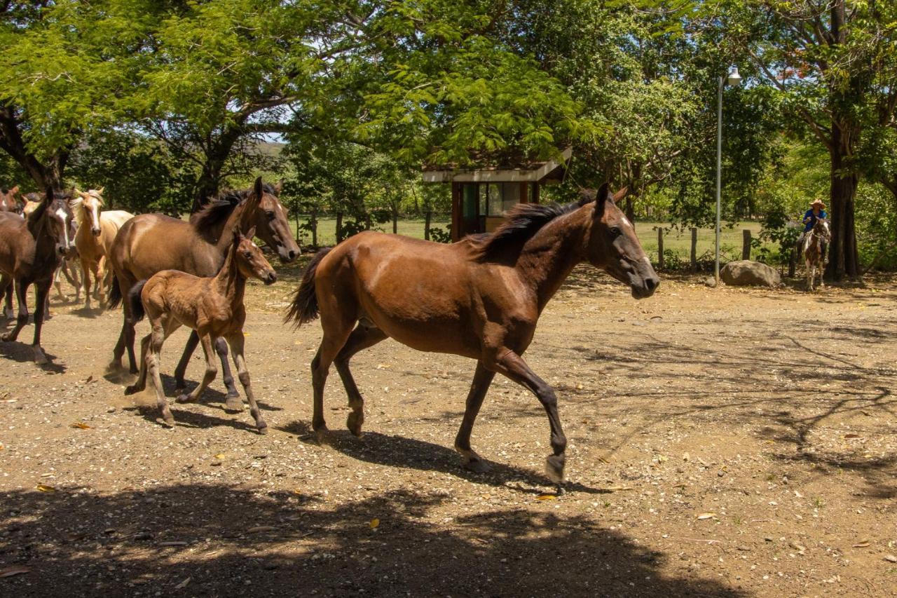 Rancho Humo Estancia Puerto Humo  Экстерьер фото